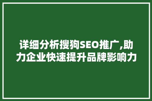 详细分析搜狗SEO推广,助力企业快速提升品牌影响力