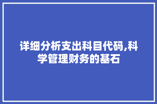 详细分析支出科目代码,科学管理财务的基石