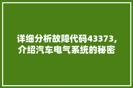 详细分析故障代码43373,介绍汽车电气系统的秘密