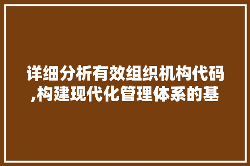 详细分析有效组织机构代码,构建现代化管理体系的基石