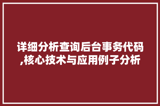 详细分析查询后台事务代码,核心技术与应用例子分析