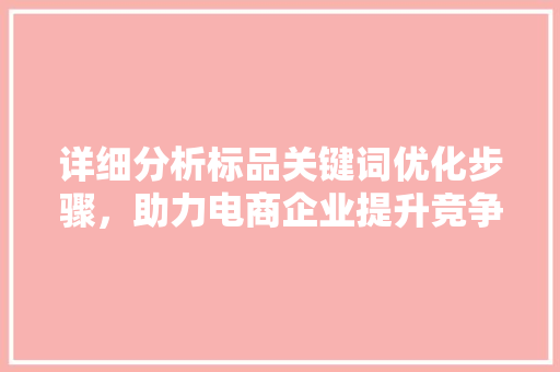 详细分析标品关键词优化步骤，助力电商企业提升竞争力