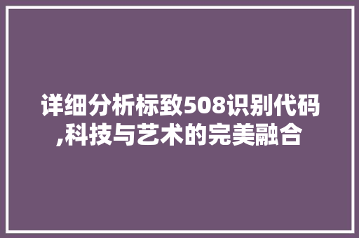 详细分析标致508识别代码,科技与艺术的完美融合