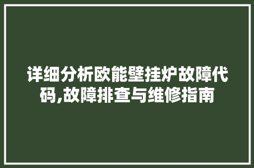 详细分析欧能壁挂炉故障代码,故障排查与维修指南