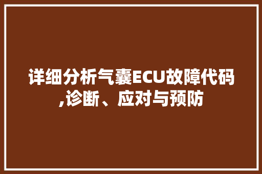 详细分析气囊ECU故障代码,诊断、应对与预防