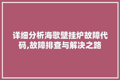 详细分析海歌壁挂炉故障代码,故障排查与解决之路