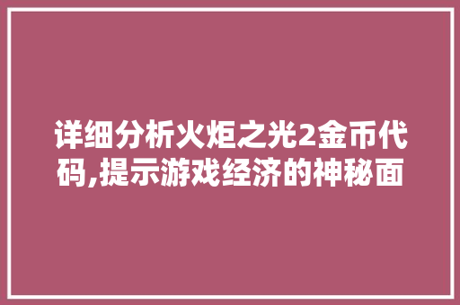 详细分析火炬之光2金币代码,提示游戏经济的神秘面纱