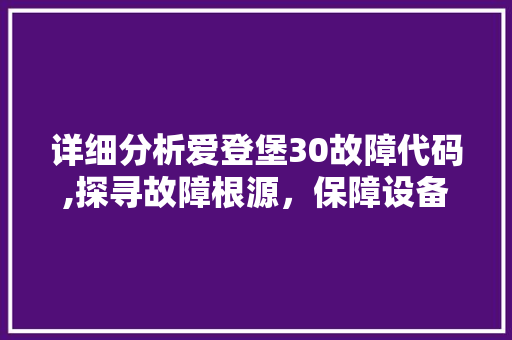 详细分析爱登堡30故障代码,探寻故障根源，保障设备稳定运行