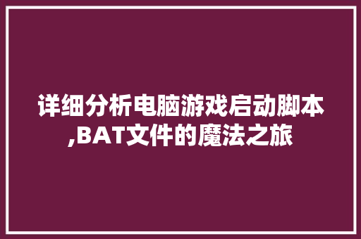 详细分析电脑游戏启动脚本,BAT文件的魔法之旅