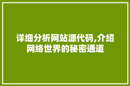 详细分析网站源代码,介绍网络世界的秘密通道