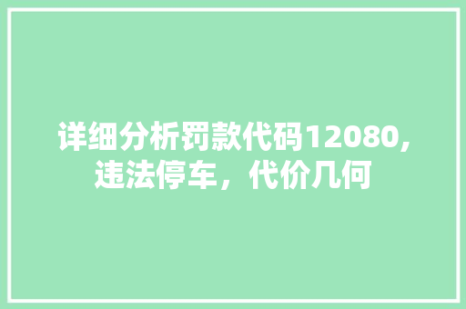 详细分析罚款代码12080,违法停车，代价几何