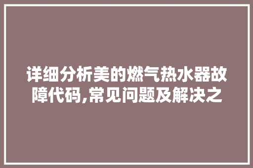 详细分析美的燃气热水器故障代码,常见问题及解决之路