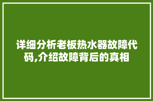 详细分析老板热水器故障代码,介绍故障背后的真相