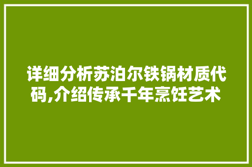 详细分析苏泊尔铁锅材质代码,介绍传承千年烹饪艺术的奥秘