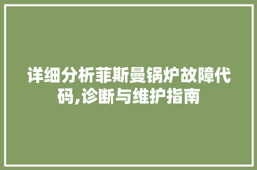 详细分析菲斯曼锅炉故障代码,诊断与维护指南 AJAX