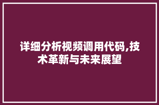 详细分析视频调用代码,技术革新与未来展望