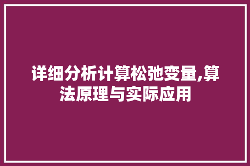 详细分析计算松弛变量,算法原理与实际应用