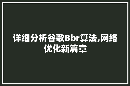 详细分析谷歌Bbr算法,网络优化新篇章