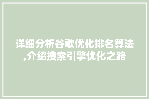 详细分析谷歌优化排名算法,介绍搜索引擎优化之路