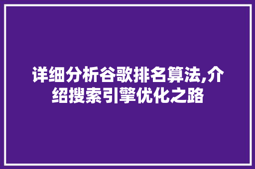 详细分析谷歌排名算法,介绍搜索引擎优化之路