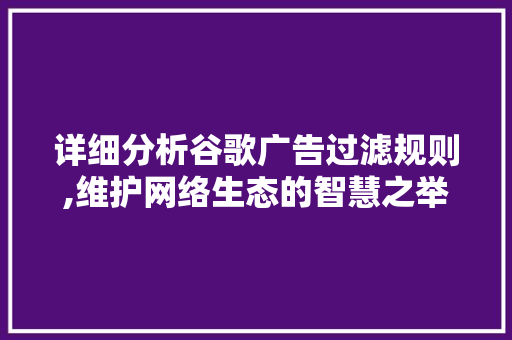 详细分析谷歌广告过滤规则,维护网络生态的智慧之举