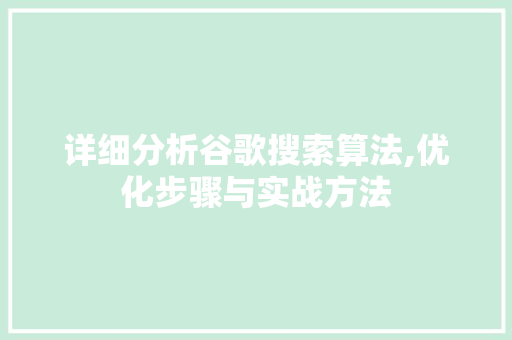 详细分析谷歌搜索算法,优化步骤与实战方法