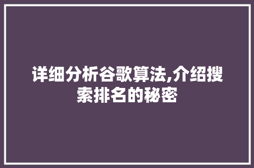 详细分析谷歌算法,介绍搜索排名的秘密