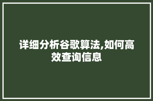 详细分析谷歌算法,如何高效查询信息