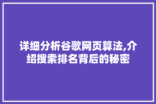 详细分析谷歌网页算法,介绍搜索排名背后的秘密