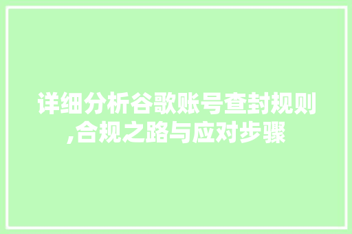 详细分析谷歌账号查封规则,合规之路与应对步骤