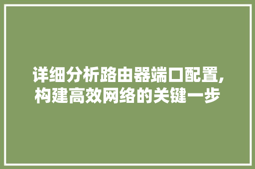 详细分析路由器端口配置,构建高效网络的关键一步