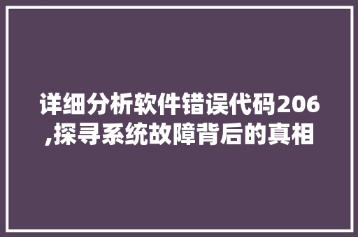 详细分析软件错误代码206,探寻系统故障背后的真相