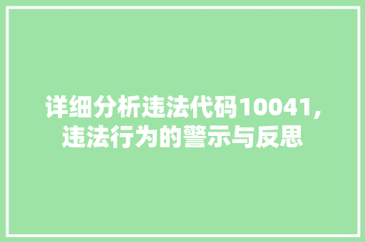 详细分析违法代码10041,违法行为的警示与反思