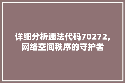 详细分析违法代码70272,网络空间秩序的守护者