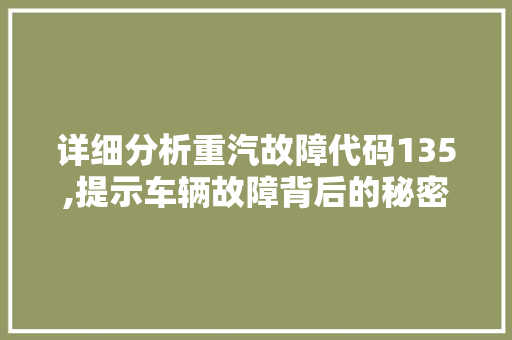 详细分析重汽故障代码135,提示车辆故障背后的秘密