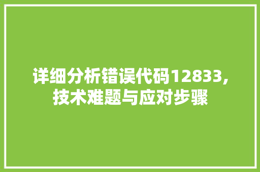 详细分析错误代码12833,技术难题与应对步骤