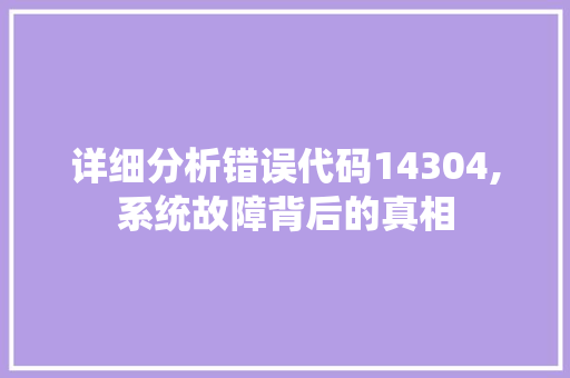 详细分析错误代码14304,系统故障背后的真相