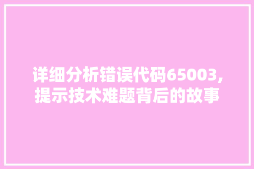 详细分析错误代码65003,提示技术难题背后的故事