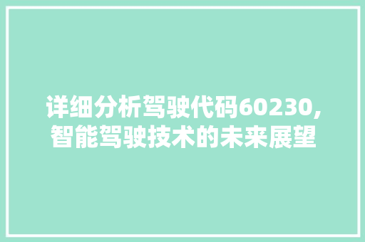 详细分析驾驶代码60230,智能驾驶技术的未来展望