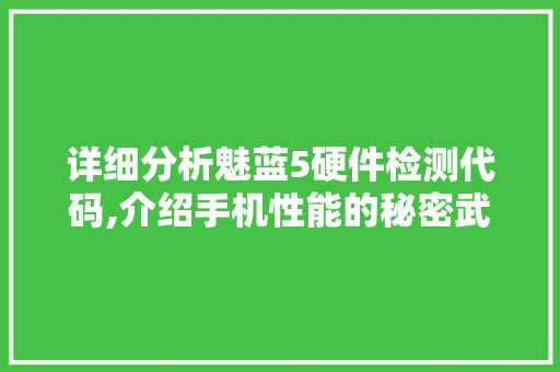 详细分析魅蓝5硬件检测代码,介绍手机性能的秘密武器