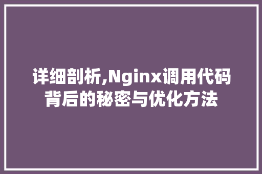 详细剖析,Nginx调用代码背后的秘密与优化方法