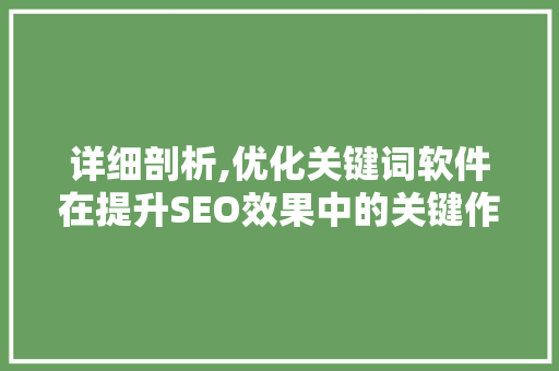 详细剖析,优化关键词软件在提升SEO效果中的关键作用