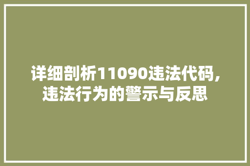 详细剖析11090违法代码,违法行为的警示与反思