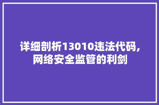 详细剖析13010违法代码,网络安全监管的利剑