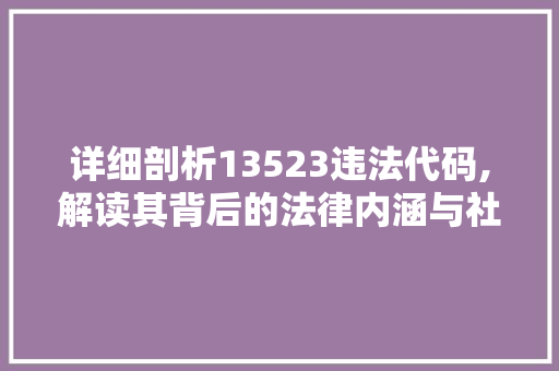 详细剖析13523违法代码,解读其背后的法律内涵与社会影响