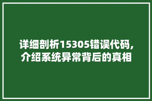 详细剖析15305错误代码,介绍系统异常背后的真相