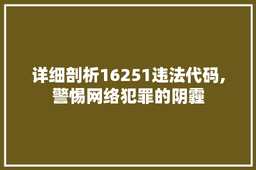 详细剖析16251违法代码,警惕网络犯罪的阴霾