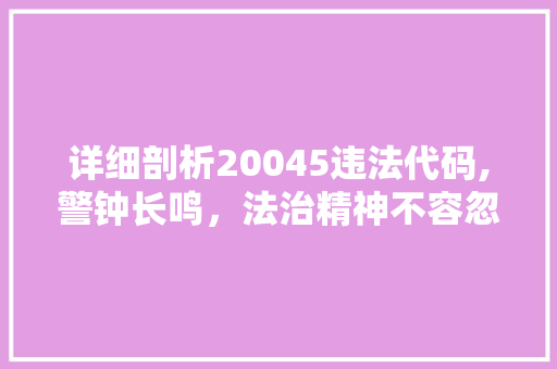 详细剖析20045违法代码,警钟长鸣，法治精神不容忽视