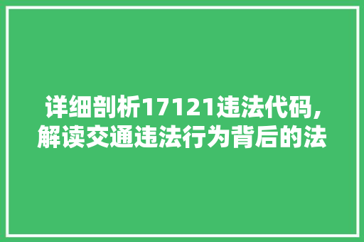 详细剖析17121违法代码,解读交通违法行为背后的法律与责任