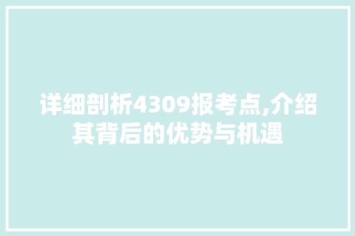 详细剖析4309报考点,介绍其背后的优势与机遇